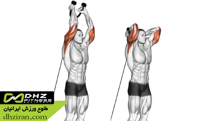 پشت بازو سیم کش از پشت سر (Overhead Cable Triceps Extension): 2